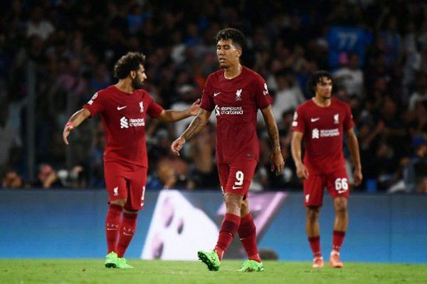 达科塔·约翰逊裸色长裙秀雪乳。