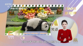 中文字幕未删减版在线观看